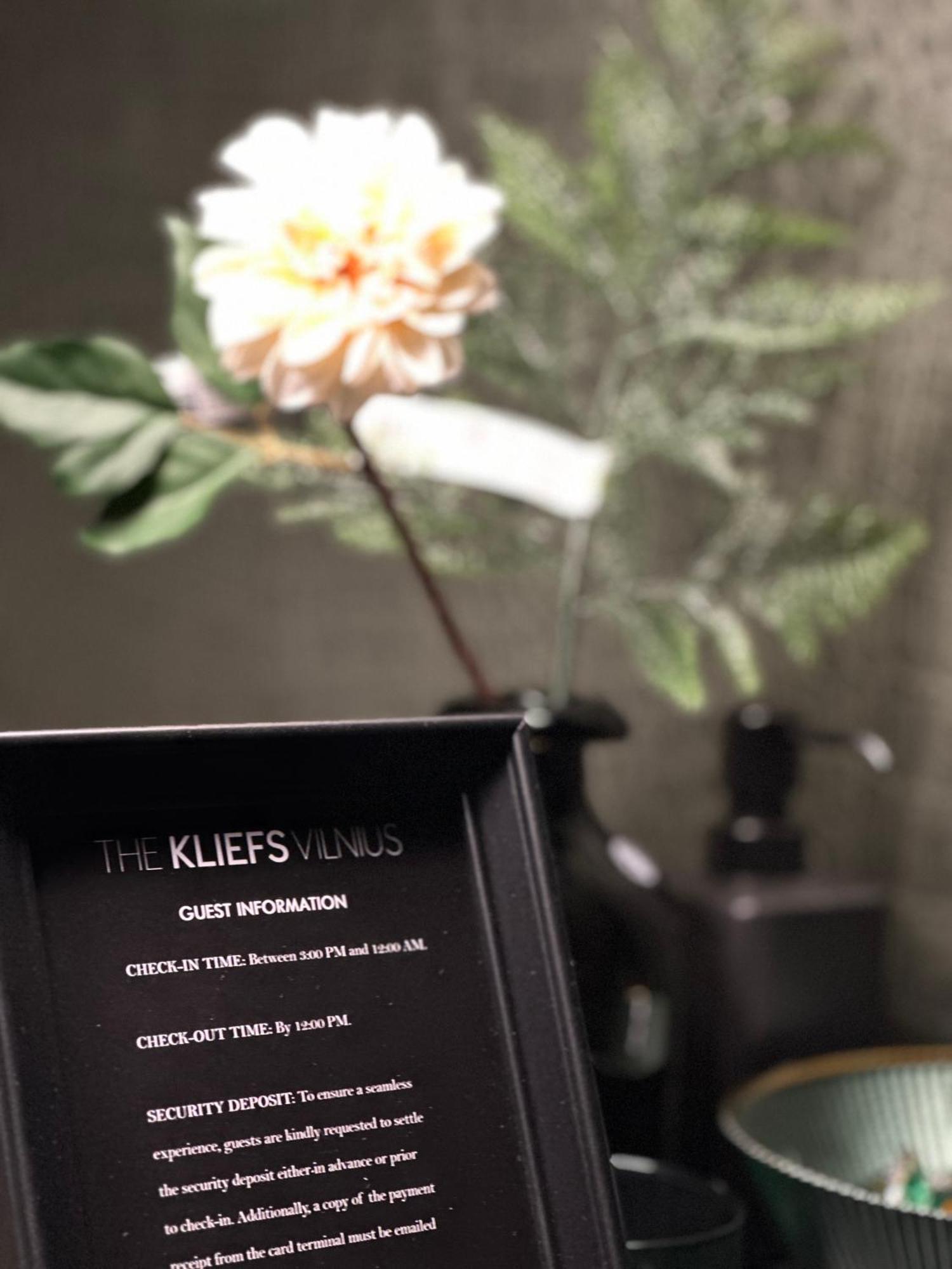 Хостел The Kliefs Vilnius - Virtual Check-In Экстерьер фото